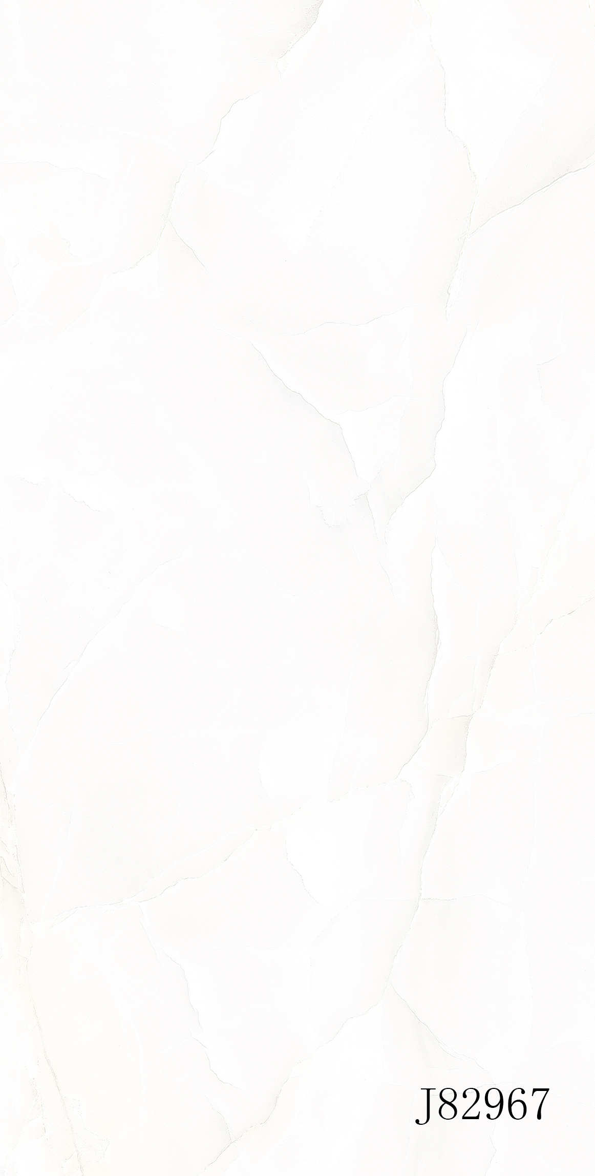 J82967