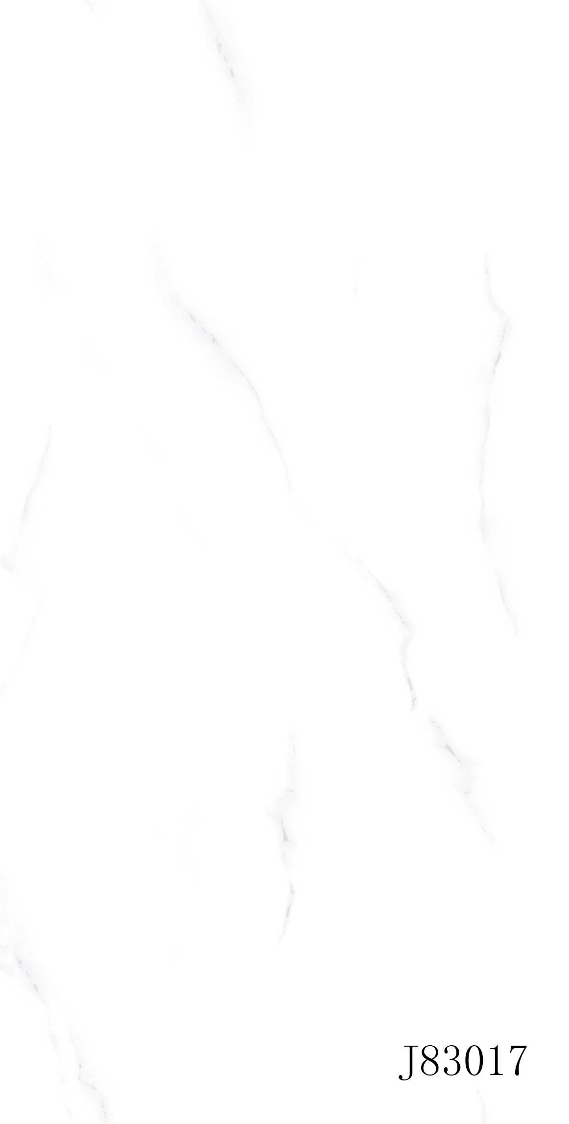 J83017